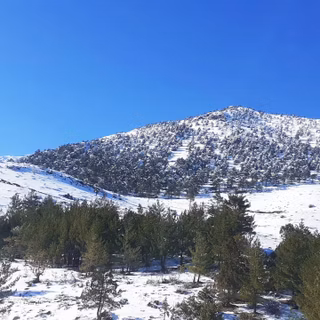Kar Emlaktan Yenikonacık Körmenlik Mevkiinde 1 Dönüm Satılık Arsa