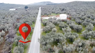 ▀▄mera Emlaktan Tuzcumurat Mh. Asfalta Cephe 427m2 Zeytinlik
