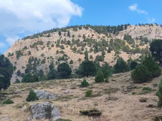 Kar Emlaktan Hamidiye Köyünde 460 M2 Satılık Arsa