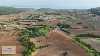 Mecidiye'de Sahile Yakın 5.200 M² Satılık Tarla