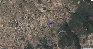 Muğla Milas Söğütçük Te 1.300 M2 Zeytinlik Yola Sıfır İçinde 1 Adet Konteynir Mevcut
