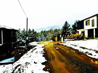 Kar Emlaktan Alpu Yaylasında 480 M2 Satılık Arsa
