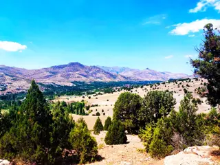 Kar Emlaktan Aşçı Bekirli Fenese Mevkiinde 400 M2 Satılık Arsa