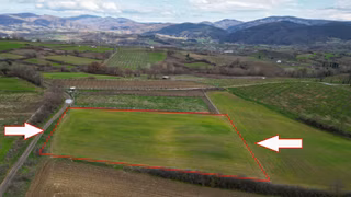 Uzmanlar'dan Karamürsel Yalakdere 6780 M2 Satılık Tarla