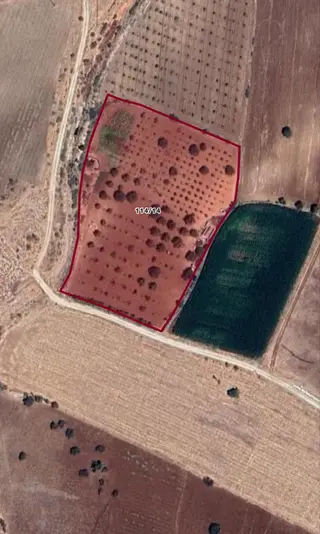 Beymahall Gayrimenkul'den Tekirsin'de Yatırımlık Arazi