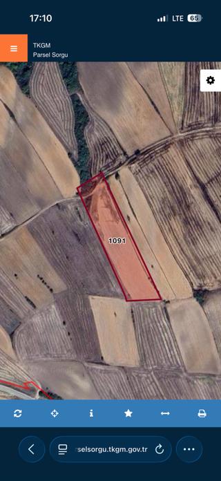 Tekirdağ Hayrabolu Çıkrıkçıda 10.400m2 Satılık Tarla Tekirdağ Hayrabolu Çıkrıkçıda 10.400m2 Satılık Tarla