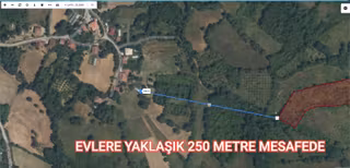 Bartın Merkez Mekeçler 15.550 M2 Tek Tapu (araç Takaslı)