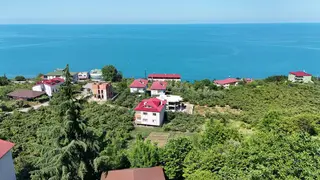 Trabzon Akçaabat Zeytinlikte Satılık Arsalar