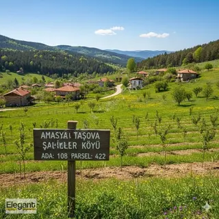 Amasya Taşova'da Yatırımlık 1050m2 Satılık Tarla!!