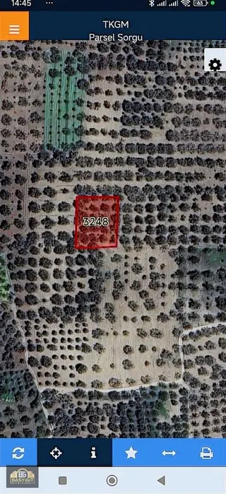 Akhisar Süleymanlı Mh.1340 M2.müstakil Tapulu Zeytinlik Satılıkt Akhisar Süleymanlı Mh.1340 M2.müstakil Tapulu Zeytinlik Satılıkt