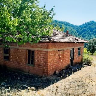 Dostlardan Acil Satılık Orman Evi Ve Arazisi