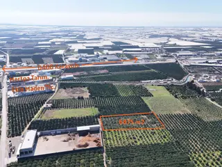 Mersin Akdeniz Sarııbrahimli Satılık Bahçe Arazi
