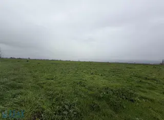 Bergama Merkeze Yakın Tarla İslamsaray Mah.