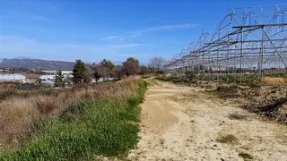 Manavgat Yavrudoğan Mahallesi Satılık Tek Tapu 9600 M2 Tarla