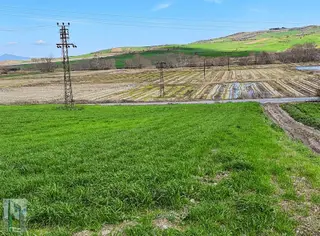 Gönen Biga Ana Asfaltında Satılık 3 Dönüm Tarla Gönen Biga Ana Asfaltında Satılık 3 Dönüm Tarla