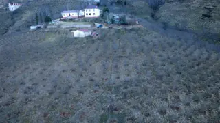 Ordu Gölköy'de Satılık Arazi