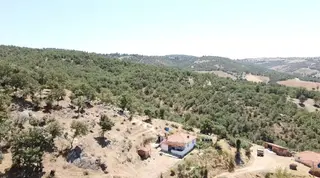 Manisa Gördes Köseler 26.300 M2 Köy İçi Tek Tapu Elektrik Su Var