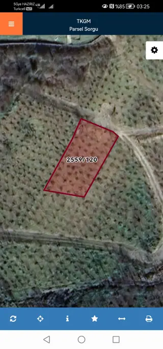 Trabzon Uğurlu Satılık Villalık Arsa Trabzon Uğurlu Satılık Villalık Arsa