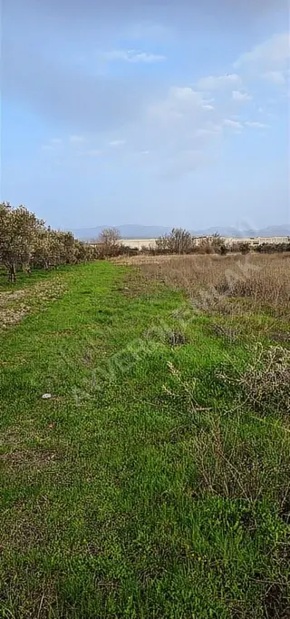 Osb Yanı Yatırımlık Hesaplı Arazi