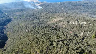 Edincik 1.970 M² Satılık Zeytinlik Yatırımlık Fırsat!