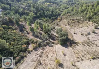 Muğla Ula Armutçuk'ta Ormanla Komşu, 20.556 M² Yatırımlık Arazi