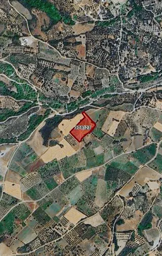 Şarköy Gaziköy Full Deniz Manzaralı İmarda Sorunsuz 1100 M2