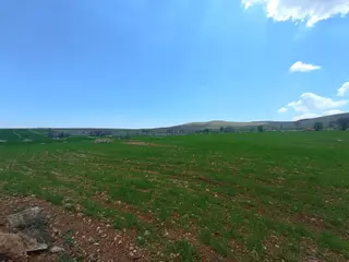 Meram Sarıkızda Müstakil Tapulu 8.202 M2 Tarla