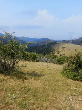 46 Dönüm Yola Sıfır Arazi Güneş Paneline Uygun Kula Konurca