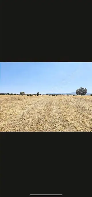 Banaz Susuz Köyünde Uygun 4500m2 Düz Arazi Banaz Susuz Köyünde Uygun 4500m2 Düz Arazi