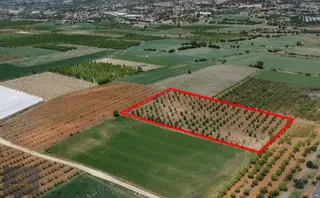 Akçay Mahallesi'nde Elektrik Ve Suyu Olan 7387m² Armut Bahçesi