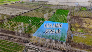 Öz-emmaxdan Terme İmanalisi Köyünde 3754 M2 Satılık Tarla