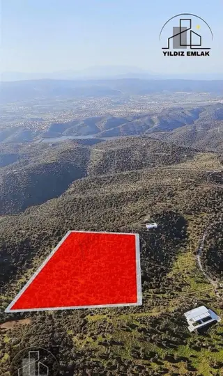 İzmir Seferihisar Ulamış Mahallesinde 19.542m² Satılık Zeytinlik