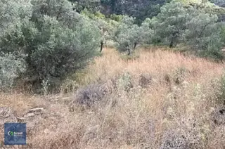 Alırken Kazanmanın Adresi ''fırsat Müzayede''