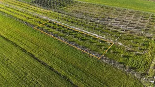 İzmir Menderes Tekeli 2 Ada 1 Parselde 30 Zeytin Ağaçlı 610m2 Hisse Tapulu Tarla