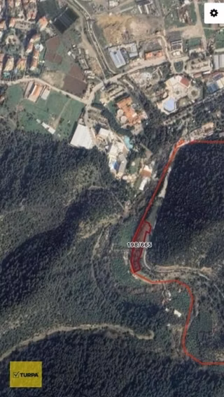 Turpa Balçovadan Kaçırılmaz Yatırım Fırsatı Satılık Zeytinlik