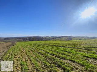 İzmit Kaynarcada 2823m2 Yolu Açık Doğa Manzaralı Tarla