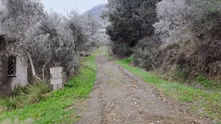 Asya Garden E Yakın Sert Zemin De Villalik