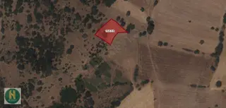 Has Real Estate Gayrimenkul Den İbirler De Satılık Tarla