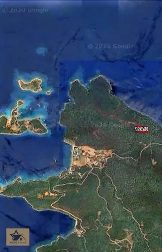 Muğla Marmaris'in Gözdesi Sedir Adasına Çok Yakın Zeytinlik