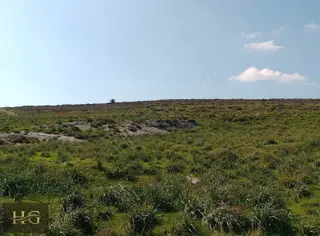 Fırsat Kupon Arazi Yatırımlık İmara Sınır