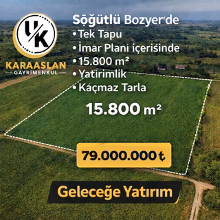 Söğütlü Bozyer**tek Tapu**imar Kapsamında**kârlı Yatırım