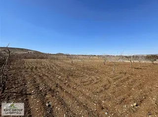 Kılıç Group Gayrımenkul Mehmet Kılıç'dan Satılık