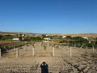 Tek Tapu !!! Cittaslow Kenti Güdül Güneyce'de Satılık 4782 M2 İmarlı Satılık Arsa
