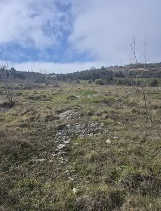 Şile Ağva Bucaklı Köyünde Satılık Tarla