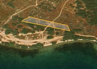 My - Gürçamlar'da Satılık Denize 25m Zeytinli Tarla