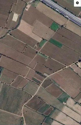 Salihli Mersindere ‘de 12.500 M2 Satılık Üzüm Bağı Fırsat !