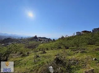 İnanç Emlaktan Keşap Düzköyde Satılık Fındık Bahçesi