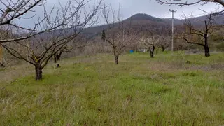 Uzmanlar'dan Akçat 1164 M2 Satılık %5 İmarlı Meyve Bahçesi