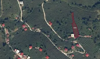 Vavien Emlak'tan Bahçeli Köyü İçerisinde Satılık Fındık Bahçesi