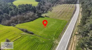 Ana Yola Cepheli, Orman Manzaralı 5764m² Yatırımlık Tarla